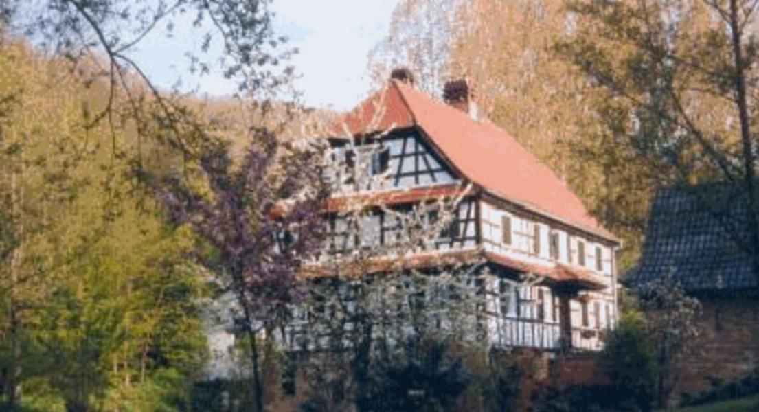 Ferme Auberge du Moulin des Sept Fontaines Drachenbronn-Birlenbach Exterior foto